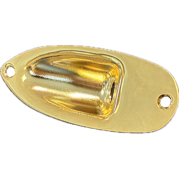 Jack Panel for Electric Guitar